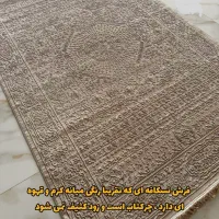 فرش کرم نسکافه ای|فرش|نیشابور, محله میدان باغات|دیوار