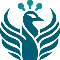 از بلک فرایدی نزدیکه جا نمونی