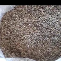 زیره خوش بوی و جک کوهی اصل