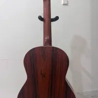 گیتار همراه با کاور