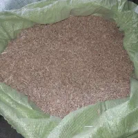 گندم  برای کبوتر و دام