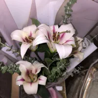 لیلیوم دسته گل اورینتال|گل و گیاه طبیعی|قم, زنبیل آباد|دیوار