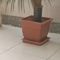 نخل مصنوعی|گل مصنوعی|شاهینشهر, حافظ شمالی|دیوار