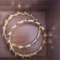 بازنه شماره ۲|بدلیجات|مریوان, |دیوار