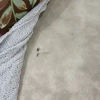 مبل راحتی با پایه استیل|مبلمان خانگی و میز عسلی|قم, قلعه یزدیها|دیوار