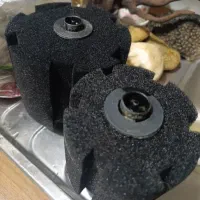 اکواریوم ریملس. تصفیه سطلی|ماهی|مشهد, کوشش|دیوار