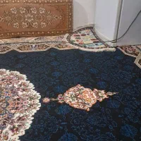 فرش ۱۲ متر|فرش|سوسنگرد, |دیوار