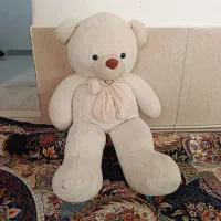 خرس فروشی تمیز