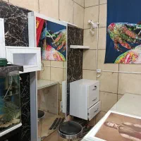 وسایل ارایشگاه|آرایشگاه و سالنهای زیبایی|شیراز, آزادگان|دیوار