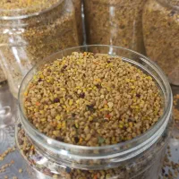 فروش گرده گل بهاری|آرایشی، بهداشتی، درمانی|بانه, |دیوار