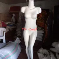 مانکن|فروشگاه و مغازه|کلاله, |دیوار