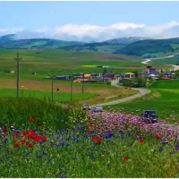 تور سرعین مرداد ۱۴۰۵