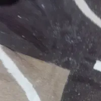 فرش ۶متری|فرش|مشهد, حضرت حجت|دیوار