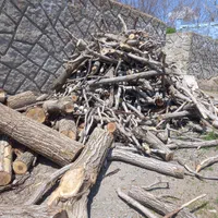 خریدانواع چوب ودرخت|خدمات باغبانی و درختکاری|همدان, |دیوار