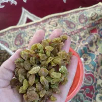 کشمش وکشک خانگی|خوردنی و آشامیدنی|نیشابور, میدان حافظ|دیوار