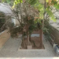 خانه حیاط دار دو طبقه مستقل نوسازی شده سیاحتگر|فروش خانه و ویلا|شیراز, آبیاری|دیوار