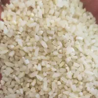 نیم دانه کامفیروزی درشت