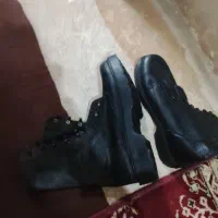 پوتین|کیف، کفش، کمربند|شیراز, گویم|دیوار