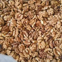 فروش محصولات خشکبار|خوردنی و آشامیدنی|کرج, شهرک فهمیده|دیوار