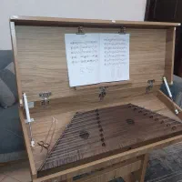 باکس سنتور درب دار،محافظ سنتور ،جعبه سنتور دربدار|سازهای سنتی|مشهد, ارشاد|دیوار