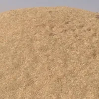شادگان