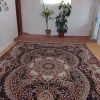 اجاره روزانه/هفتگی/ماهانه آپارتمان ۷۰ متری|اجارهٔ کوتاه‌مدت آپارتمان و سوئیت|آشخانه, |دیوار