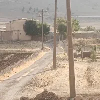 اجاره سالیانه مرغداری آماده به کار