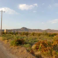 باغ کشاورزی|فروش دفتر صنعتی، کشاورزی، تجاری|سبزوار, رباط|دیوار