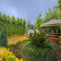 فروش ویلا دوبلکس با ویو ابدی جنگل و فول مبله|فروش خانه و ویلا|رویان, |دیوار