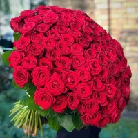 راهنمایی میخام