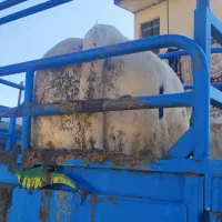 خریدوفروش انواع گوساله و گاو افتاده و سالم|حیوانات مزرعه|اراک, |دیوار