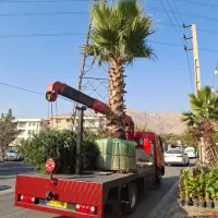 اجاره جرثقیل 3تن 7تن تا 360 تن شبانه روزی|خدمات حمل و نقل|تهران, پونک|دیوار