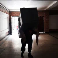 اساس کشی افرا