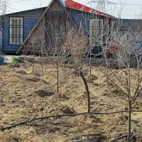 باغچه ۵۰۰متری اجاره|اجارهٔ خانه و ویلا|رباط‌کریم, الارد|دیوار