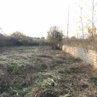 ۷۰۰متر زمین موروثی نزدیک بافت|فروش زمین و ملک کلنگی|عباس‌آباد, |دیوار