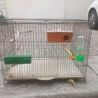 یکعددقفس پرنده