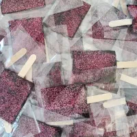 فروش ویژه لواشک بستنی سلوا نقد و چک صیادی