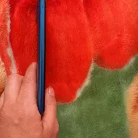 گوشی a12|موبایل|تهران, انبار نفت|دیوار