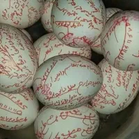 سر کتاب و دعا|خدمات پذیرایی، مراسم|ارومیه, |دیوار