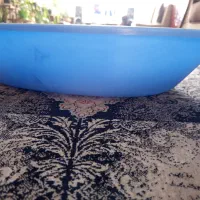 وسیله گربه|لوازم جانبی حیوانات|مشهد, چهارچشمه|دیوار