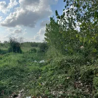 زمین-باغی-داخل-بافت-648متری-قیمت-عا-لی