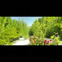 فروش-باغ-ویلای-6000متری-لوکس-شیر-بابا
