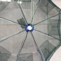 گرگور تور بچه ماهی|ماهیگیری|اصفهان, باغ فدک|دیوار