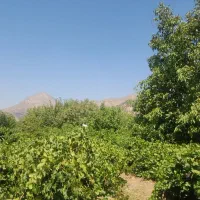 باغ ثمری با ویوی عالی . سی سخت|فروش زمین و ملک کلنگی|سی‌سخت, |دیوار