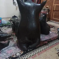 برای نگهداری روغن هیزه