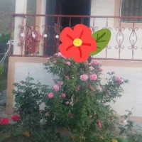 ویلای کوهستانی روستای اوز|فروش خانه و ویلا|بلده, |دیوار