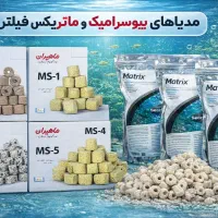 تخفیفات ویژه شب یلدا ماهی و لوازم|ماهی|مشهد, انقلاب|دیوار