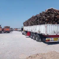 خرید کلی و جزئی انواع چوب از تمام استان
