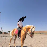 اسب نریان به رنگ سمند یال و دم شسته ۶ساله