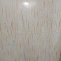 شرکت خدمات نظافتی|خدمات نظافت|بانه, |دیوار